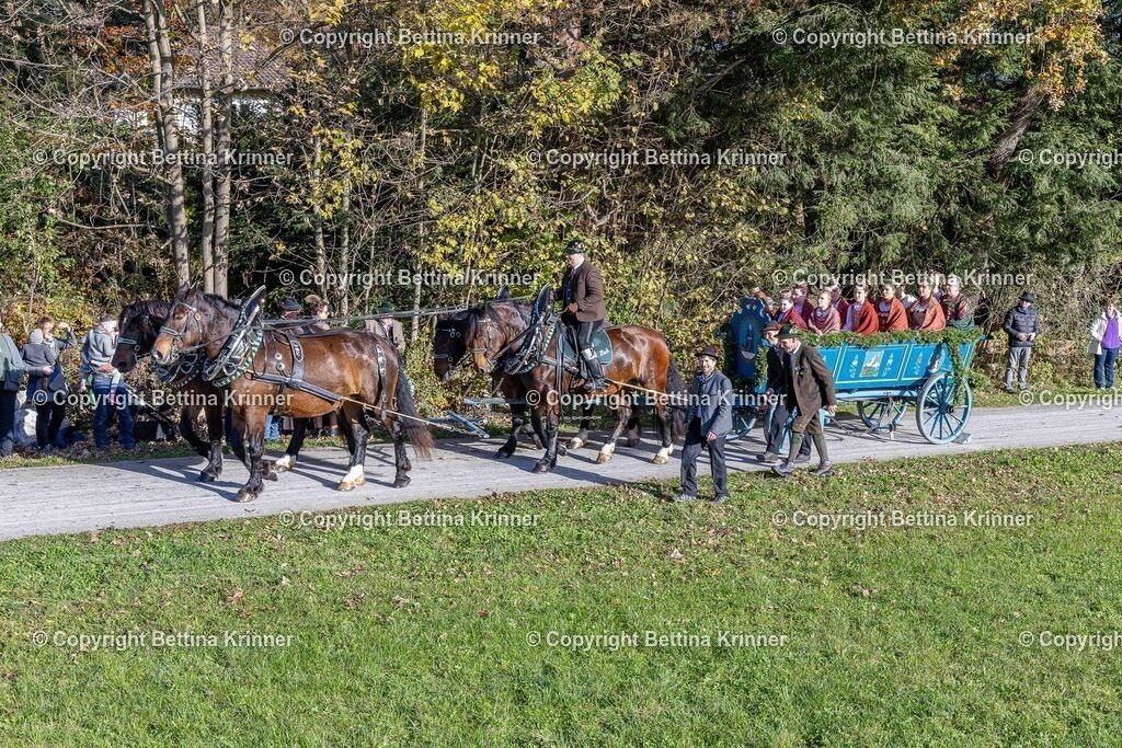 LBT24-603 | foto-bettina-krinner - Realisiert mit Pictrs.com