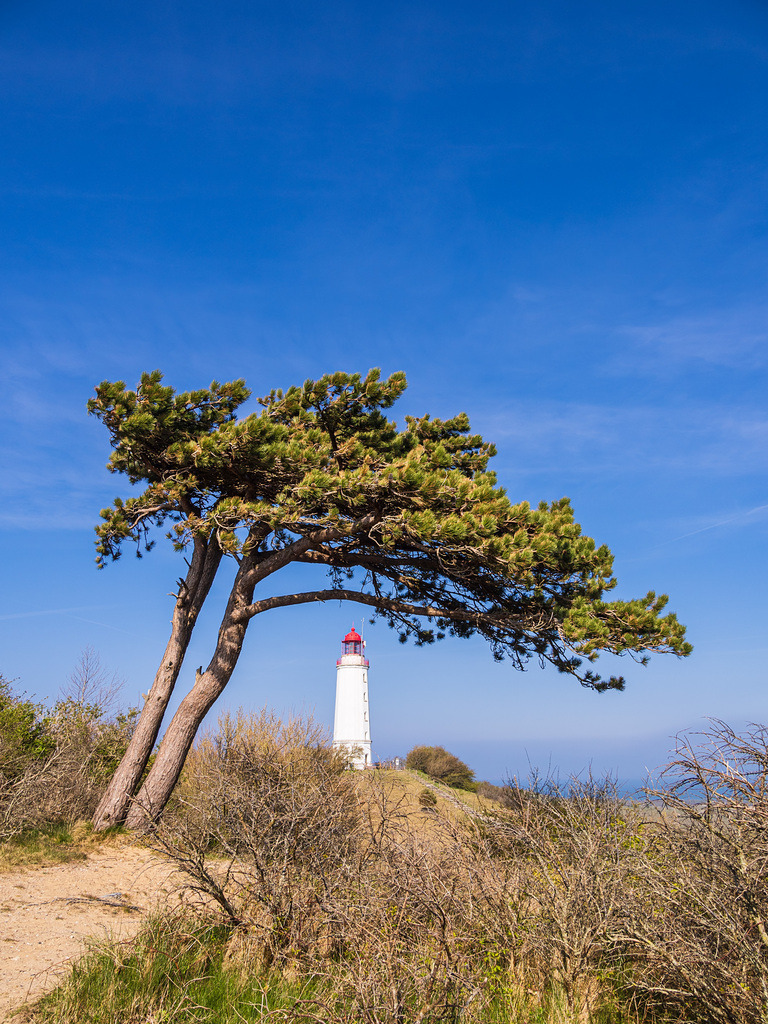 Der Leuchtturm Dornbusch auf der Insel Hiddensee | Der Leuchtturm Dornbusch auf der Insel Hiddensee.