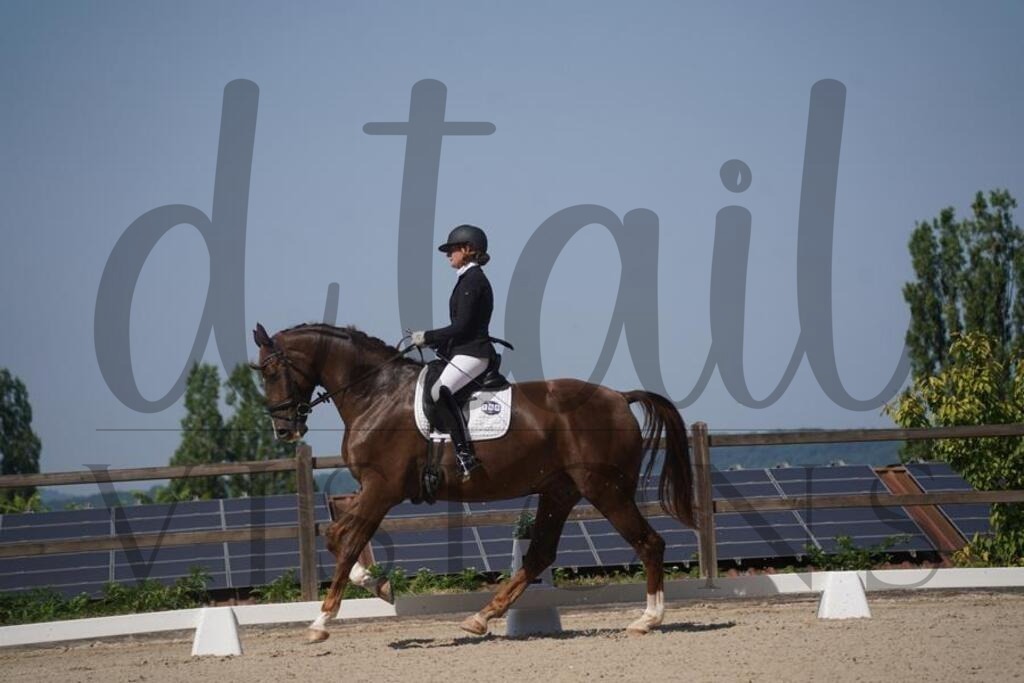 tgbhfreitag (710) | d.tail Visions - Shop - Realisiert mit Pictrs.com