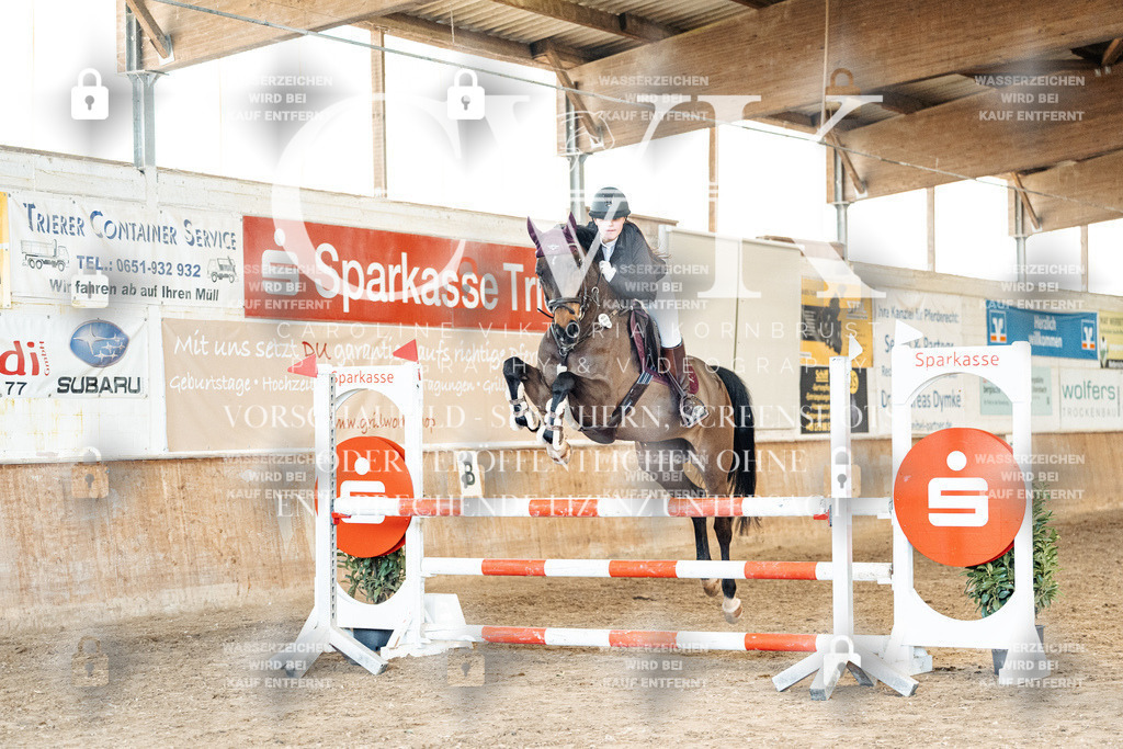 CK905148 | Turnierfotografie Pferdefotografie Trier Rheinland-Pfalz Pferdesport Reitsport Tierfotografie Sportfotografie Pferdevideo Pferdevideografie Equestrianvideography equestrianphotography  - Realized with Pictrs.com