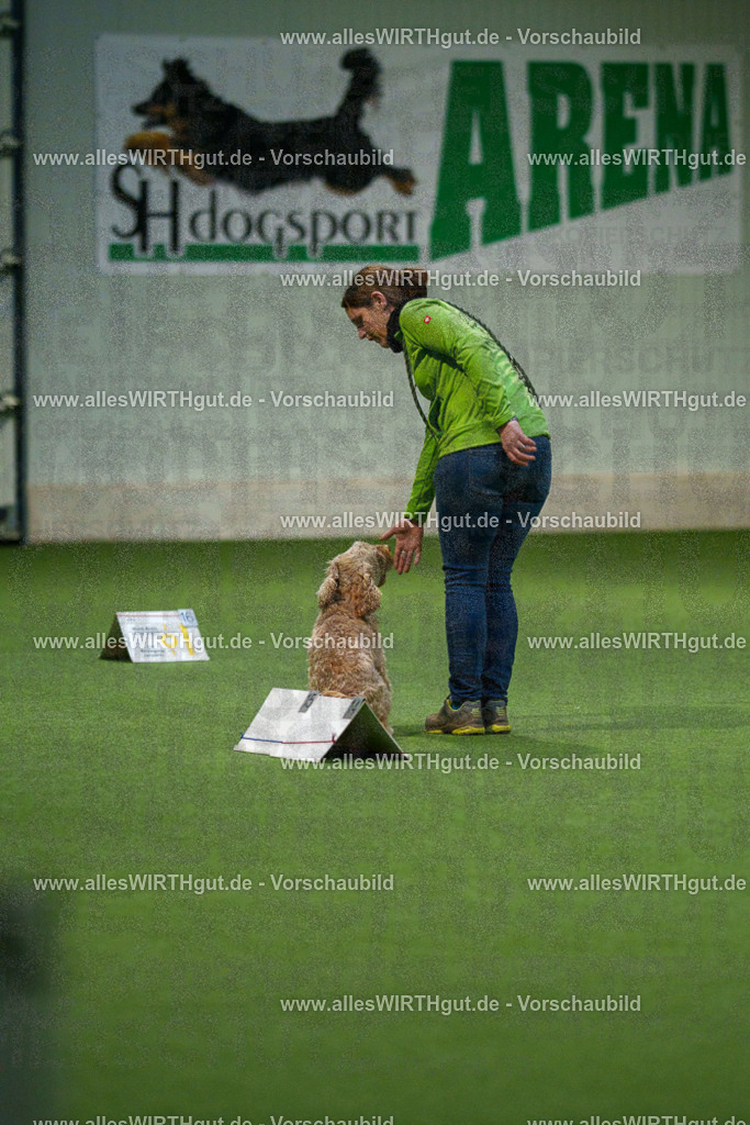7R504528 | Professionelle Tierfotografie in Mönchengladbach von Daniel Wirth (allesWIRTHgut). Liebevolle & natürliche Bilder von Hunden & Katzen für unvergessliche Erinnerungen.