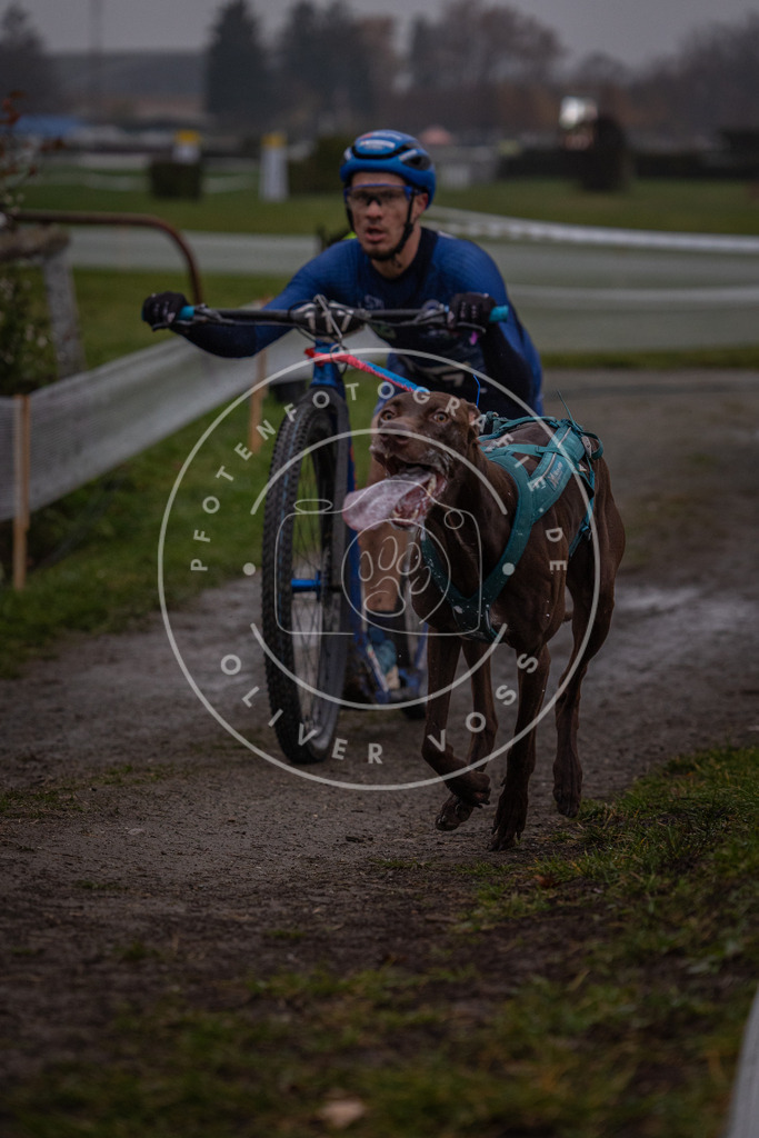 CaniXpix_0L8A0307 | Hundefotografie, Tierfotograf, Pfotenfotografie, Fotoshooting Hund, Hunde Portrait, Hundesport, Hundeportraits, Heideshooting, Hunde, Sportfotograf, Hundefotograf, Turnierhundsport, THS,  - Realisiert mit Pictrs.com