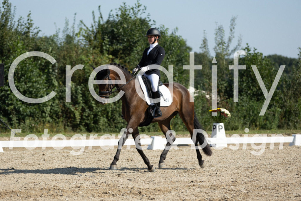 IMG_5953 | Creatify Fotografie