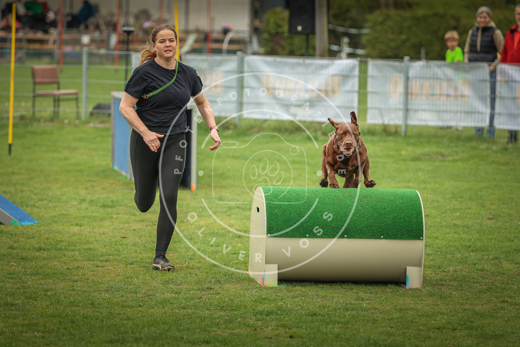 Pfotenfotografie_0L8A1868 | Hundefotografie, Tierfotograf, Pfotenfotografie, Fotoshooting Hund, Hunde Portrait, Hundesport, Hundeportraits, Heideshooting, Hunde, Sportfotograf, Hundefotograf, Turnierhundsport, THS,  - Realisiert mit Pictrs.com