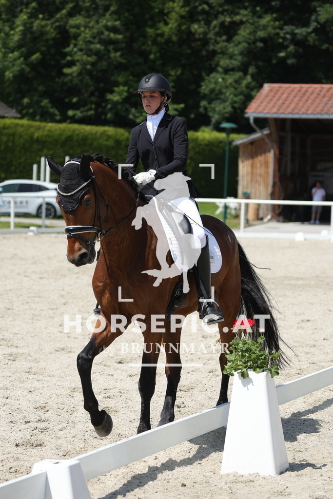 0P6A1216 | Willkommen bei Brunnmayr - Design & Fotografie – Ihrem Spezialisten für Reitturniere und Pferdeveranstaltungen in Oberösterreich, Salzburg und Bayern! Seit über 17 Jahren sind wir leidenschaftlich dabei.