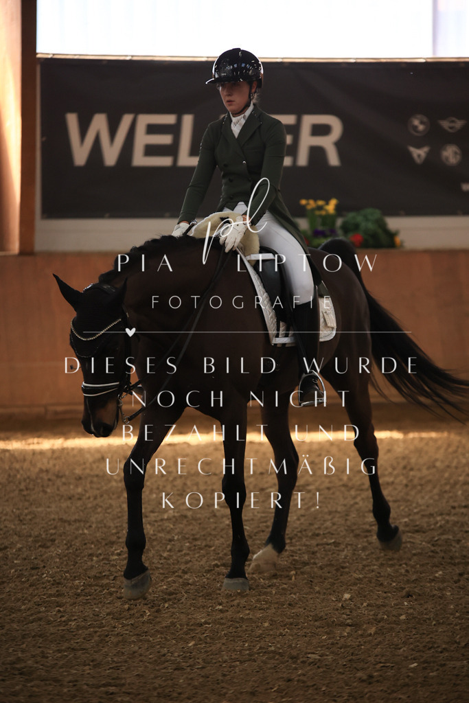 IMGT4094 | pl-fotografie