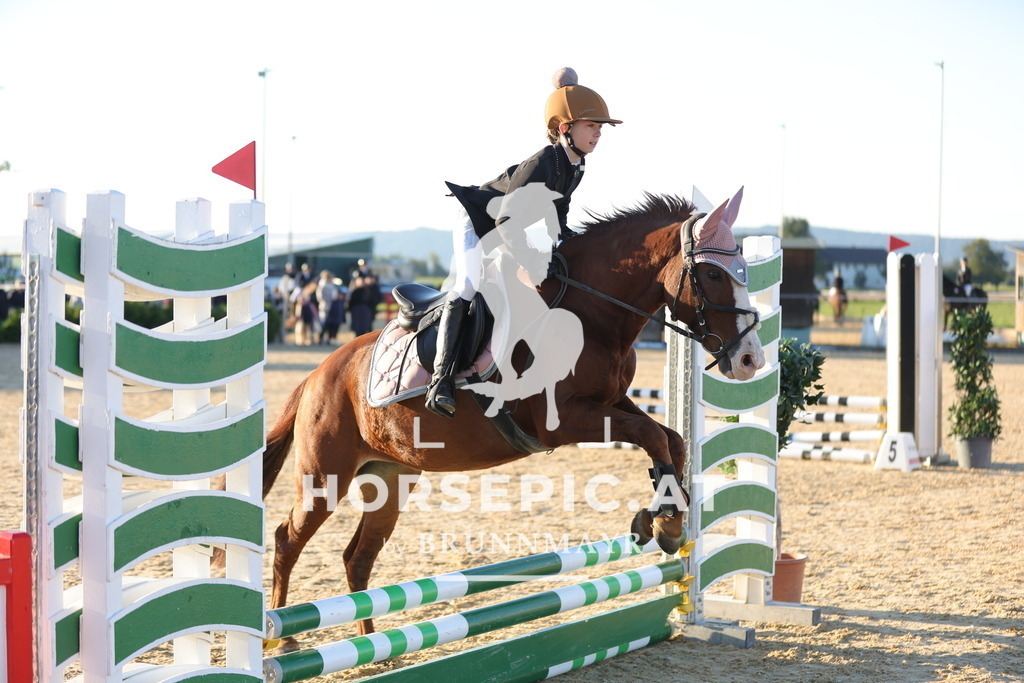 0P6A2133 | Willkommen bei Brunnmayr - Design & Fotografie – Ihrem Spezialisten für Reitturniere und Pferdeveranstaltungen in Oberösterreich, Salzburg und Bayern! Seit über 17 Jahren sind wir leidenschaftlich dabei.