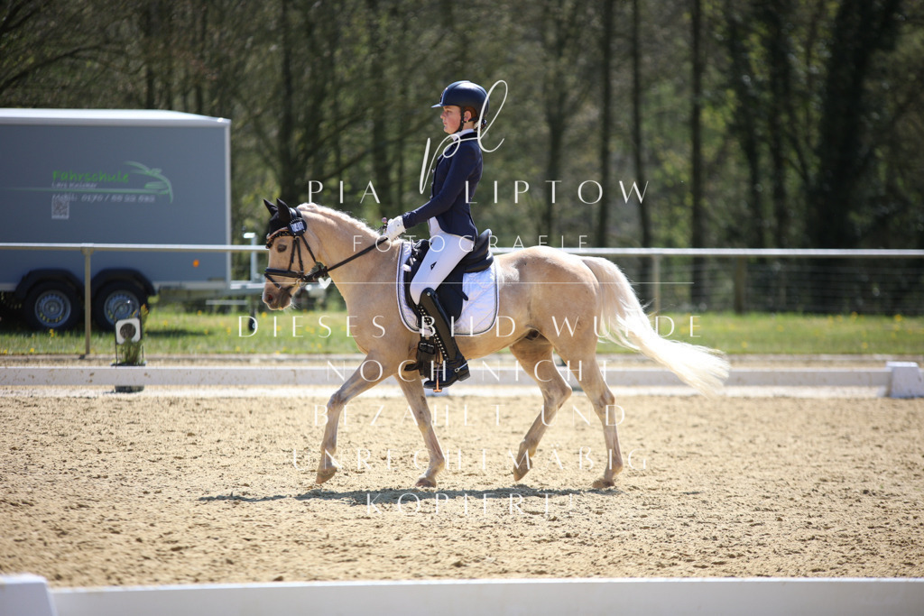 IMGT2283 | pl-fotografie