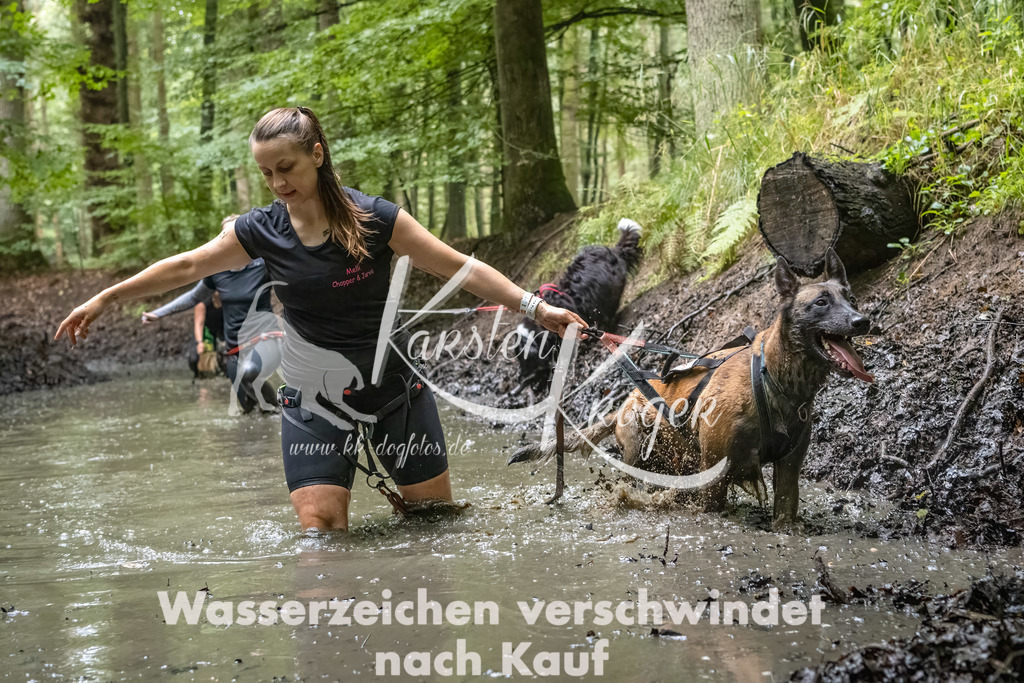 1114_ZZ90274-Bearbeitet-2 | kk-dogfotos