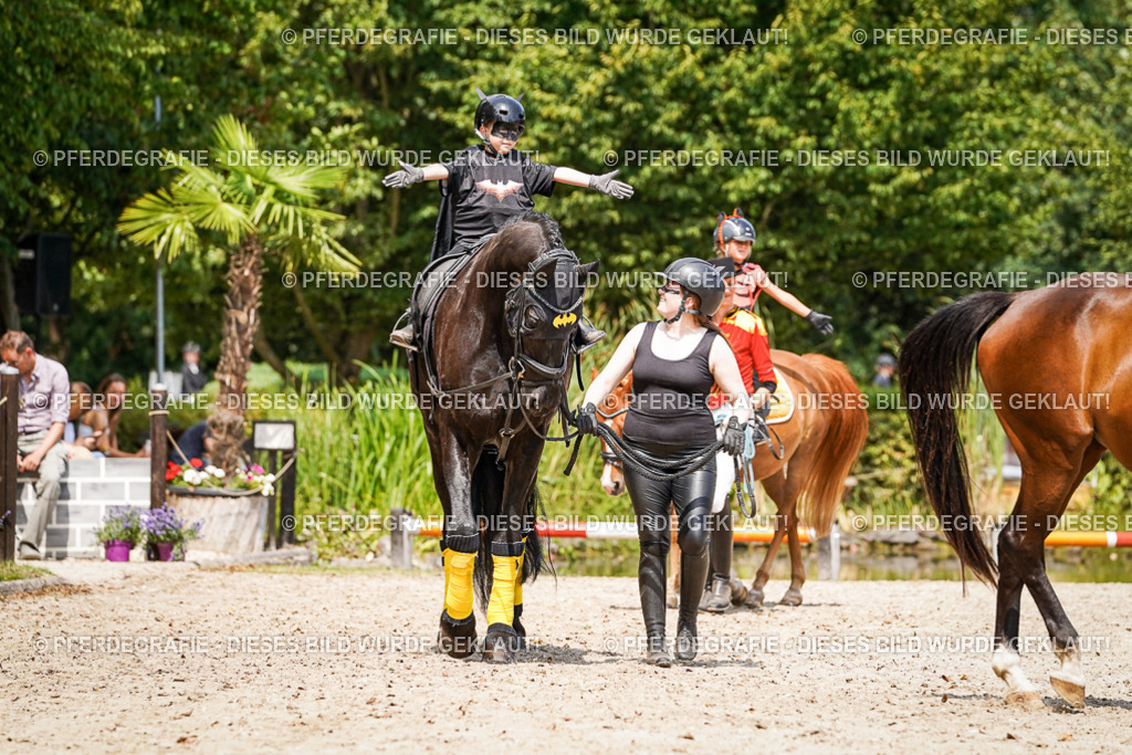 DSC03062 | Pferdegrafie