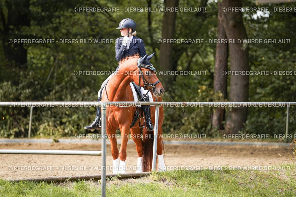 DSC03611 | Pferdegrafie