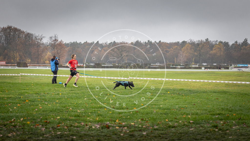 CaniXpix_DV3A8891 | Hundefotografie, Tierfotograf, Pfotenfotografie, Fotoshooting Hund, Hunde Portrait, Hundesport, Hundeportraits, Heideshooting, Hunde, Sportfotograf, Hundefotograf, Turnierhundsport, THS,  - Realisiert mit Pictrs.com