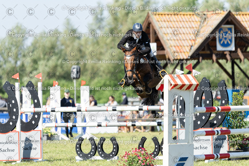 CL5A7180 | Emilia Reinking Fotografie - Realisiert mit Pictrs.com