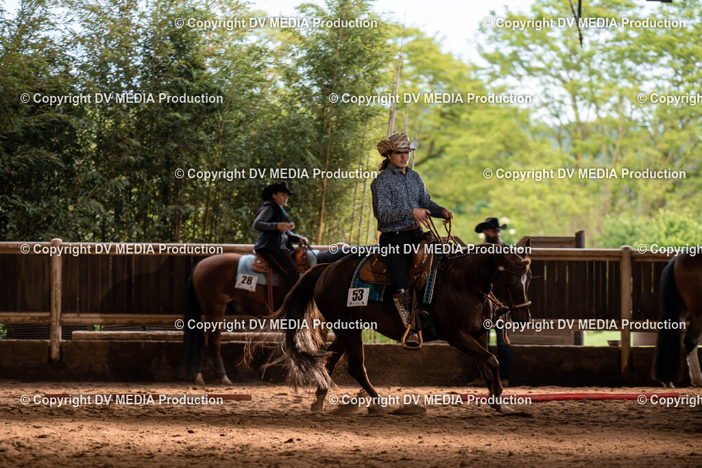 Erbach Tag 1-924 | dv-media-shop - Realisiert mit Pictrs.com