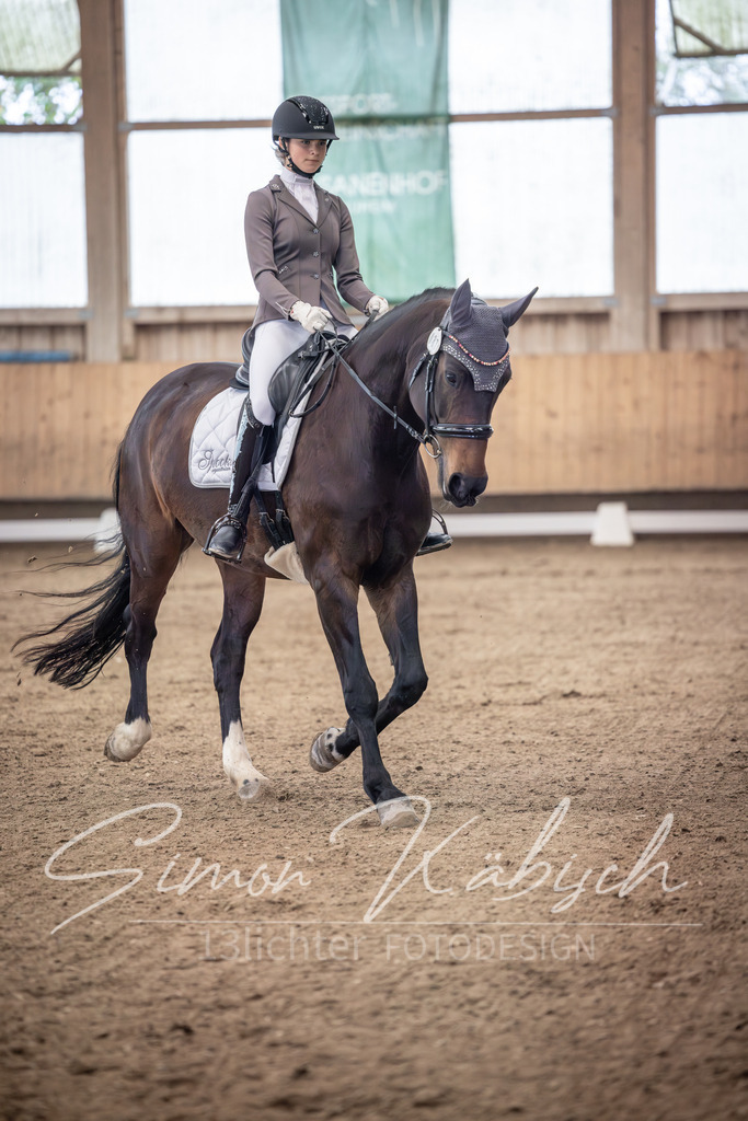 20251011-_3LI9770 | Tierfotografie Pferde, Hunde, Katzen, Haustiere.
Turnierfotografie Reitturniere, Reiten, Springreiten, Dressur in Hanau, dem Main-Kinzig-Kreis und dem Rhein-Main- Gebiet um Frankfurt