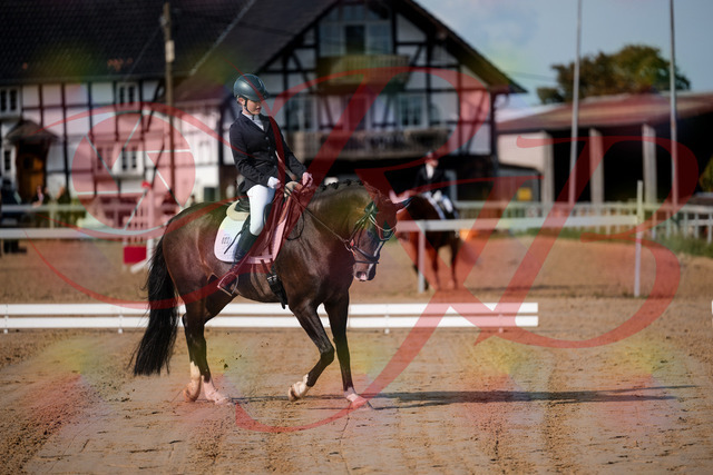 2026_10_03_Siefer-Hof_113335_Z63_19944250 | Professionelle Reitsport-, Turnier- und Eventfotografie von Robert Broda. Galerien mit ausgewählten und bearbeiteten Bildern direkt online ansehen und bestellen.