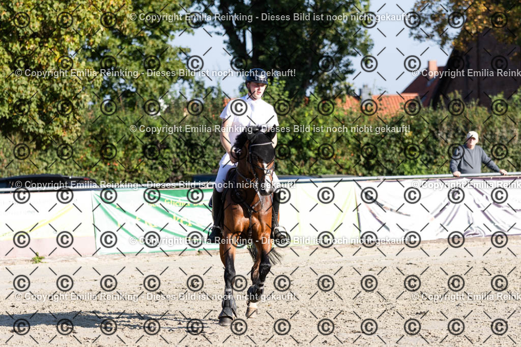 CL5A8136 | Emilia Reinking Fotografie - Realisiert mit Pictrs.com