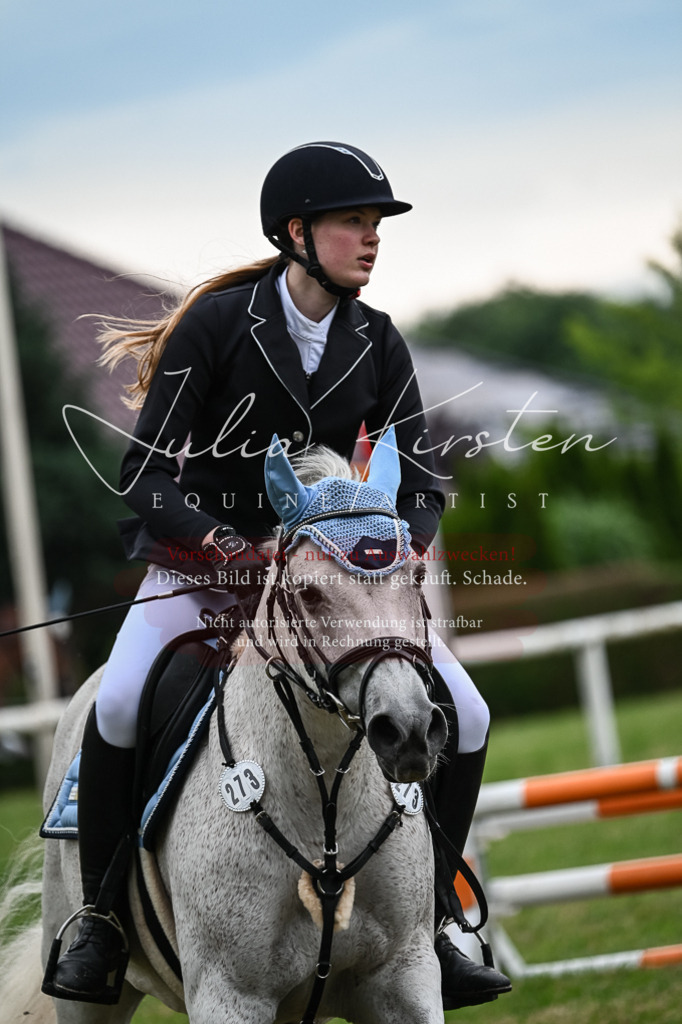 DSC_8515 | Pferde- und Turnierfotografie in Westsachsen. Pferdeportraits, Auftragszeichnungen und intuitive Kunst.