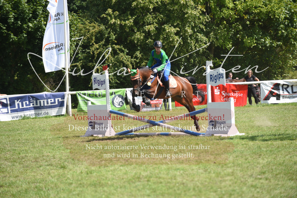 DSC_0261 | Pferde- und Turnierfotografie in Westsachsen. Pferdeportraits, Auftragszeichnungen und intuitive Kunst.