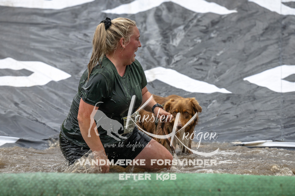 1558_ZZ91807 | kk-dogfotos