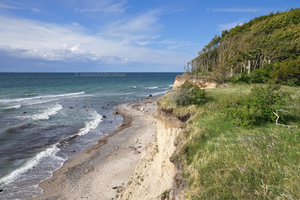 Steilufer mit Küstenwald bei anrollender Brandung | Der Blick von der Abbruchkante des Steilufers geht zu den Brandungswellen der Ostsee am Strand.