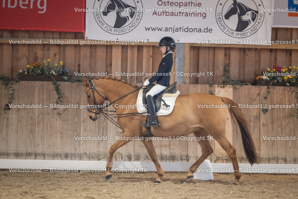 _D5A2231 | Emotionale Pferde- & People-Fotografie rund um Heidelberg, Leimen & Umgebung. Natürliche Fotos von Pferd, Mensch & Familie. Jetzt Termin sichern!