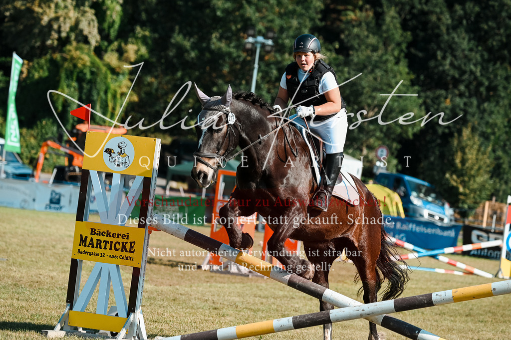 DSC_5179 | Pferde- und Turnierfotografie in Westsachsen. Pferdeportraits, Auftragszeichnungen und intuitive Kunst.