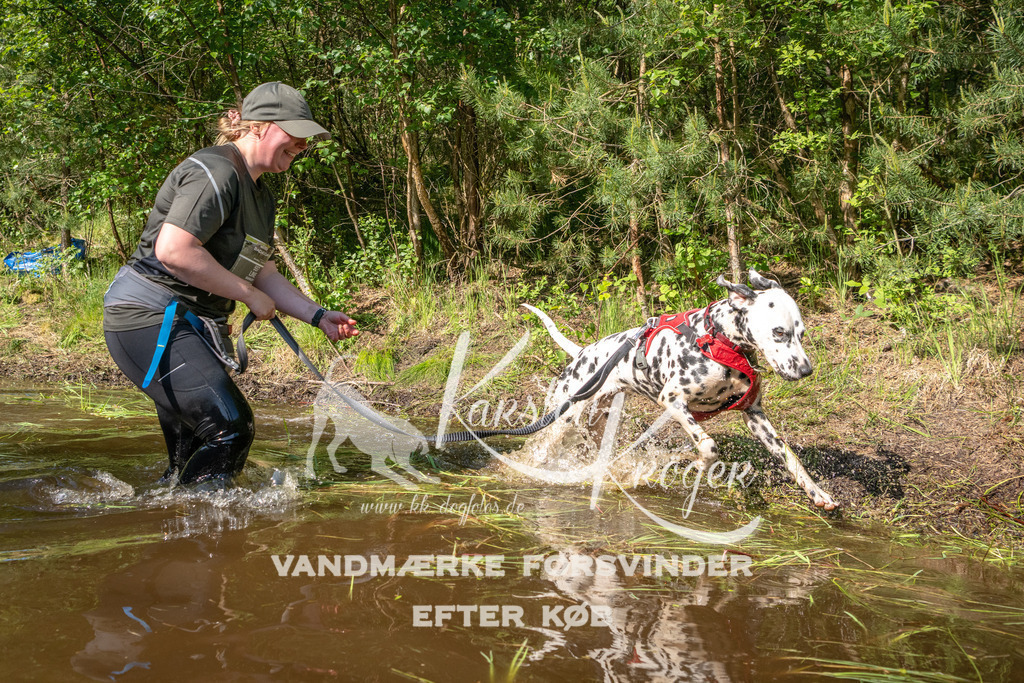 1721DKK992055 | kk-dogfotos