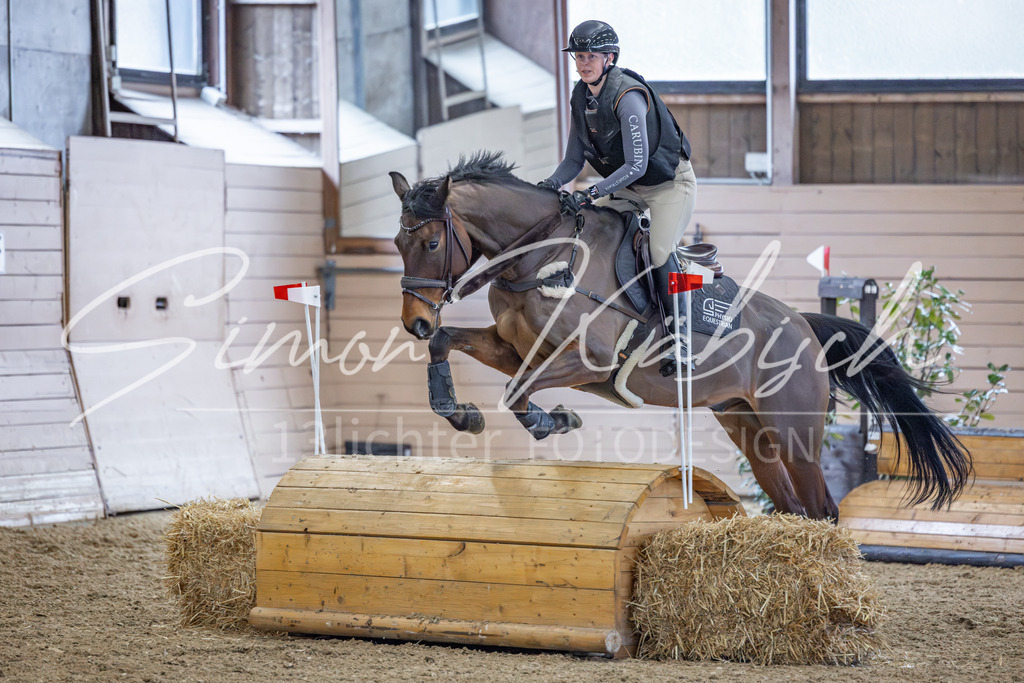 20260221-_3LI0490 | Tierfotografie Pferde, Hunde, Katzen, Haustiere.
Turnierfotografie Reitturniere, Reiten, Springreiten, Dressur in Hanau, dem Main-Kinzig-Kreis und dem Rhein-Main- Gebiet um Frankfurt