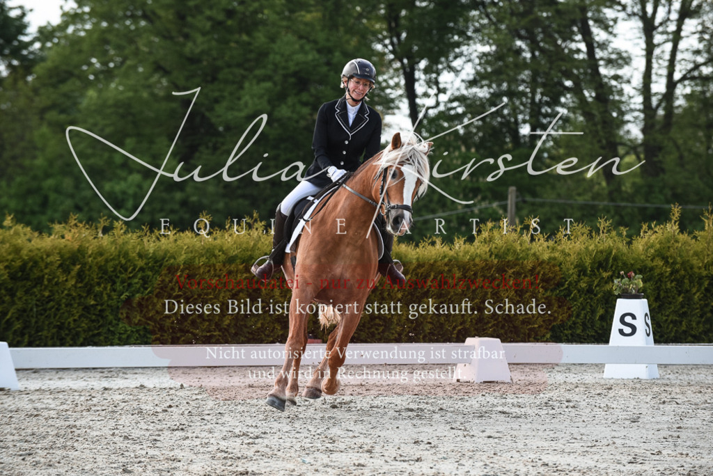 20230518_JK-Röhrsdorf-09-1624 | Pferde- und Turnierfotografie in Westsachsen. Pferdeportraits, Auftragszeichnungen und intuitive Kunst.