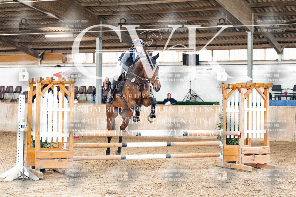 CK904644 | Turnierfotografie Pferdefotografie Trier Rheinland-Pfalz Pferdesport Reitsport Tierfotografie Sportfotografie Pferdevideo Pferdevideografie Equestrianvideography equestrianphotography  - Realisiert mit Pictrs.com