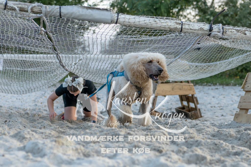 1643_ZZ98791 | kk-dogfotos