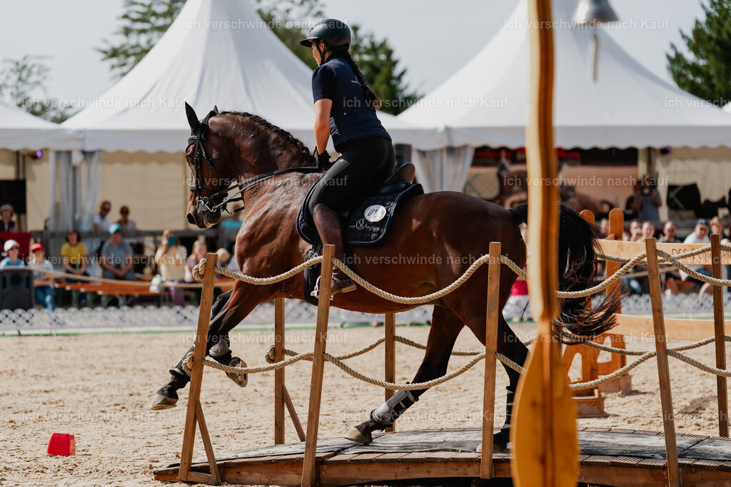 Nadine22_FHC2025-124 | working equitationturnier fotograf videograf stoibphotography marixx film working equitation deutschland reitsport turnierfotografie eventfotografie equestrian events