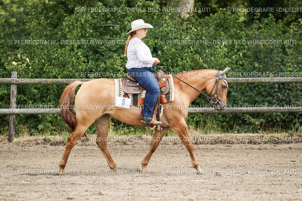 DSC07837 | Pferdegrafie