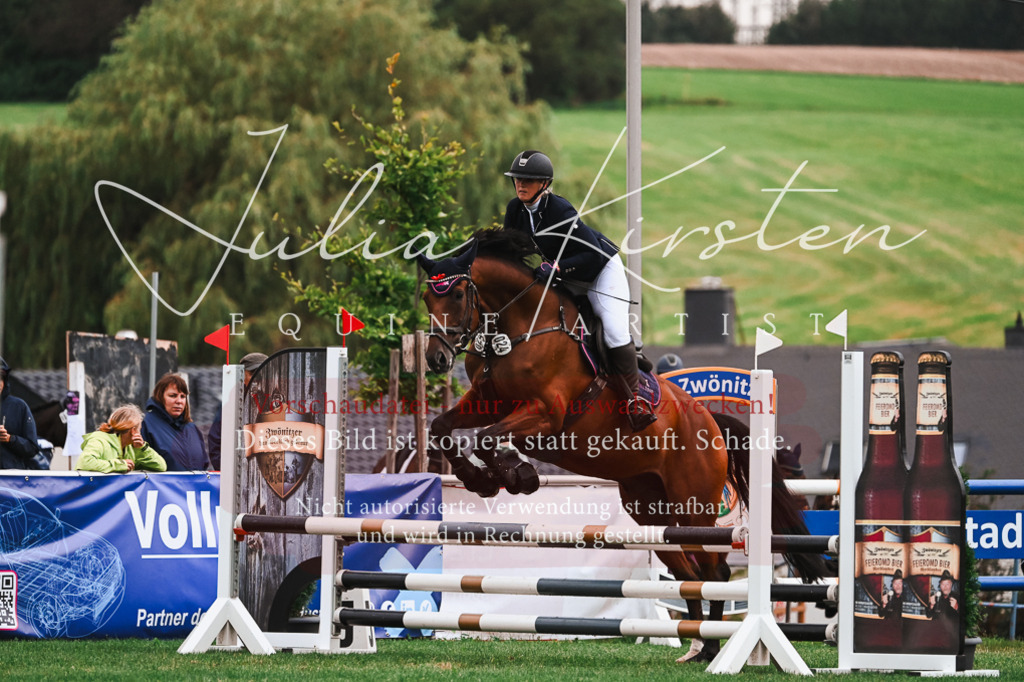 DSC_6477 | Pferde- und Turnierfotografie in Westsachsen. Pferdeportraits, Auftragszeichnungen und intuitive Kunst.