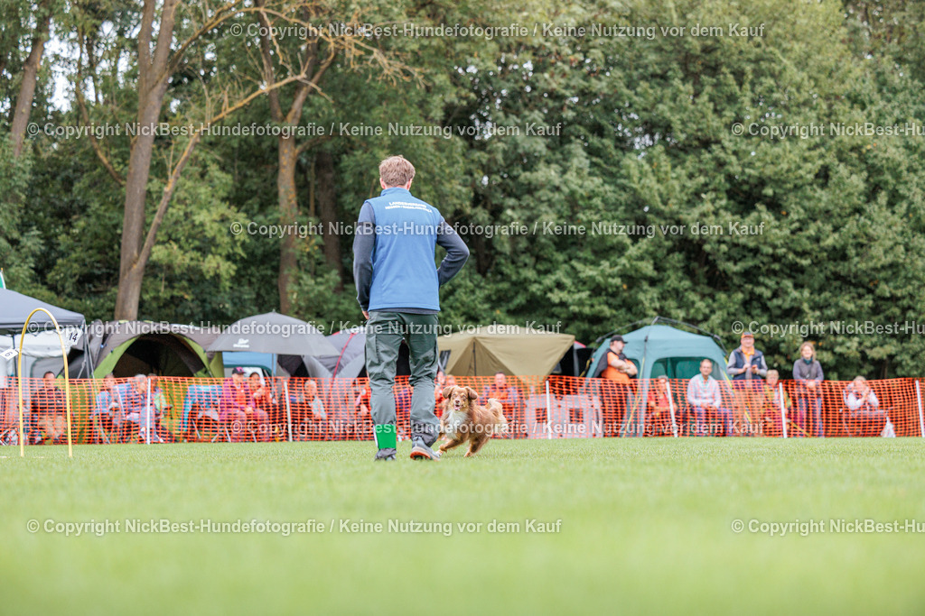 BSP Hoopers-H2 Tag2-2026-Nickbest-Hundefotografie-TuS Komet Arsten e.V.-7458 | Dein Hund! Dein Moment! Deine Erinnerungen! Hundefotografie in Bremen Blumenthal. Ich fange die besonderen Momente deines Vierbeiners ein – ob Indoor mit Blitzanlage oder in der freien Natur. Sicher dir dein Moment und dein Termin für eure Erinnerungen.