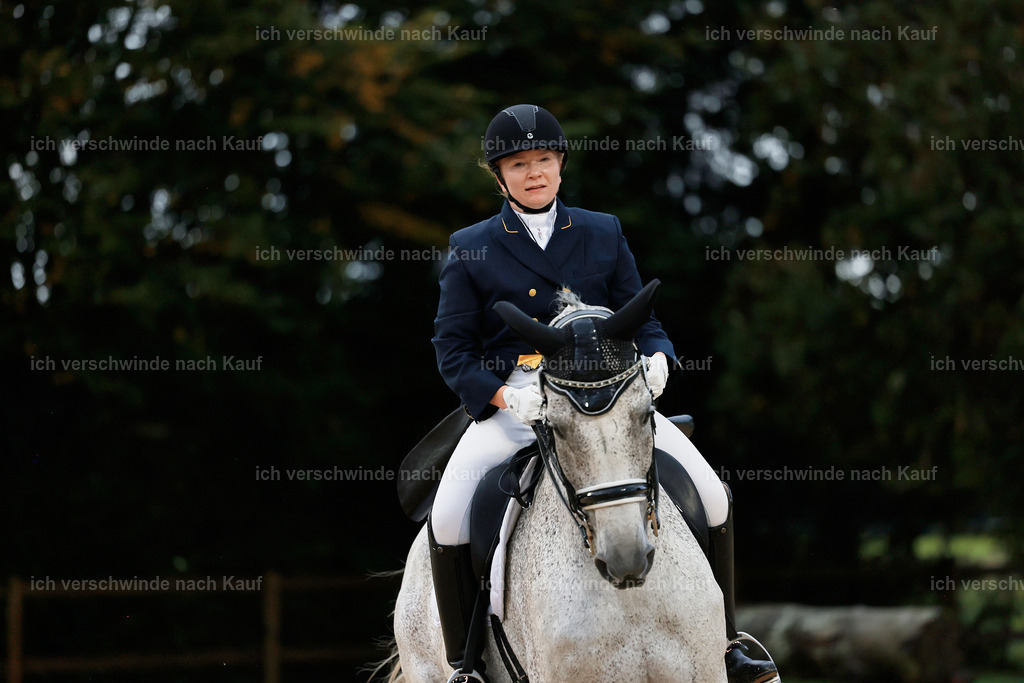 8_2-017-DRESSUR S_  -StoibPH-4543 | working equitationturnier fotograf videograf stoibphotography marixx film working equitation deutschland reitsport turnierfotografie eventfotografie equestrian events