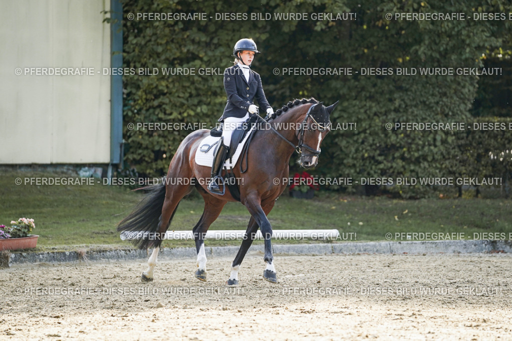 DSC05033 | Pferdegrafie