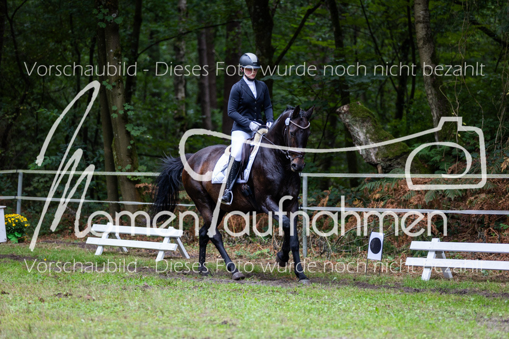 HB-A-Dressur-135 | MomenTaufnahmen Pferdesportfotos