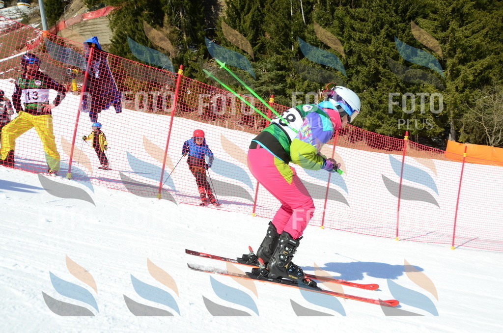 C6184 | holidayphoto