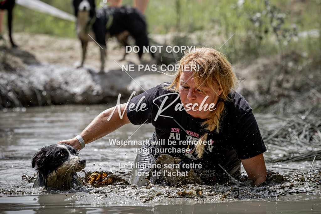 nelerasche_so1145-1230_132 | nelerasche