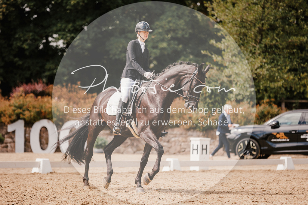 3I6A6071 | Stimmungsvolle Portraits und Reitsportfotografie im Ruhrgebiet und im Münsterland.

Pferdefotografie, Hundefotografie, Tierfotografie, Reportagen, Portraits von Tier und Mensch, Turnierfotografie in Bochum, Recklinghausen, Marl, Haltern am See, Dülmen.. - Realisiert mit Pictrs.com