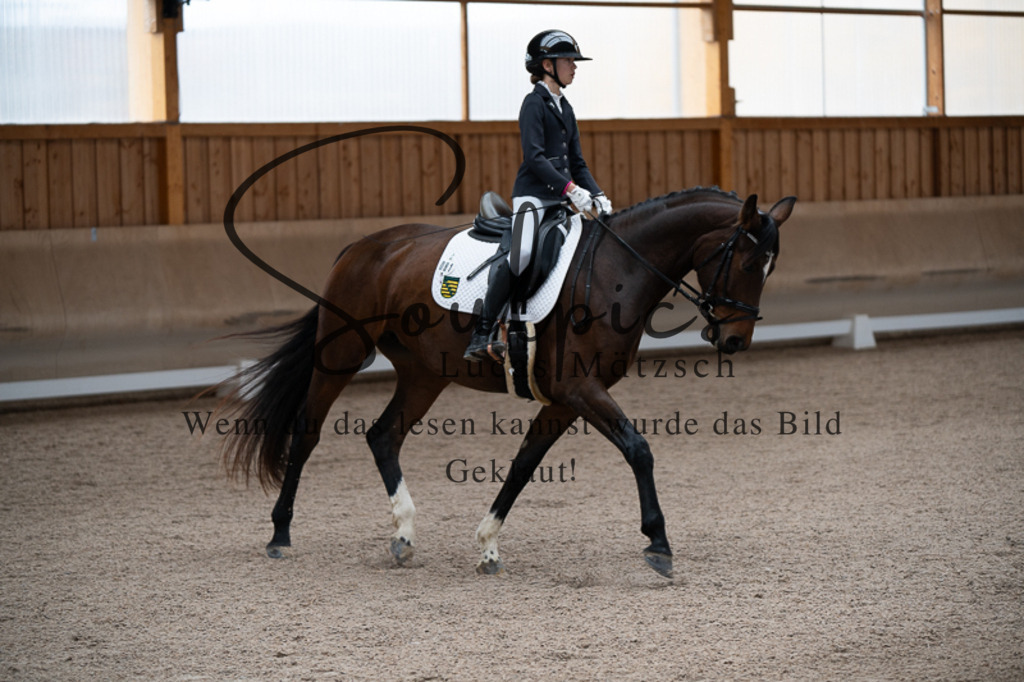 A7V02553 | Pferdefotograf