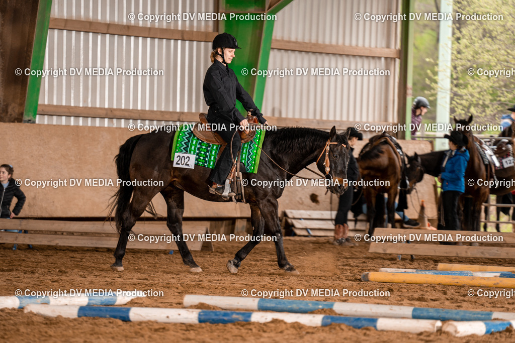 BA300581 | dv-media-shop - Realisiert mit Pictrs.com