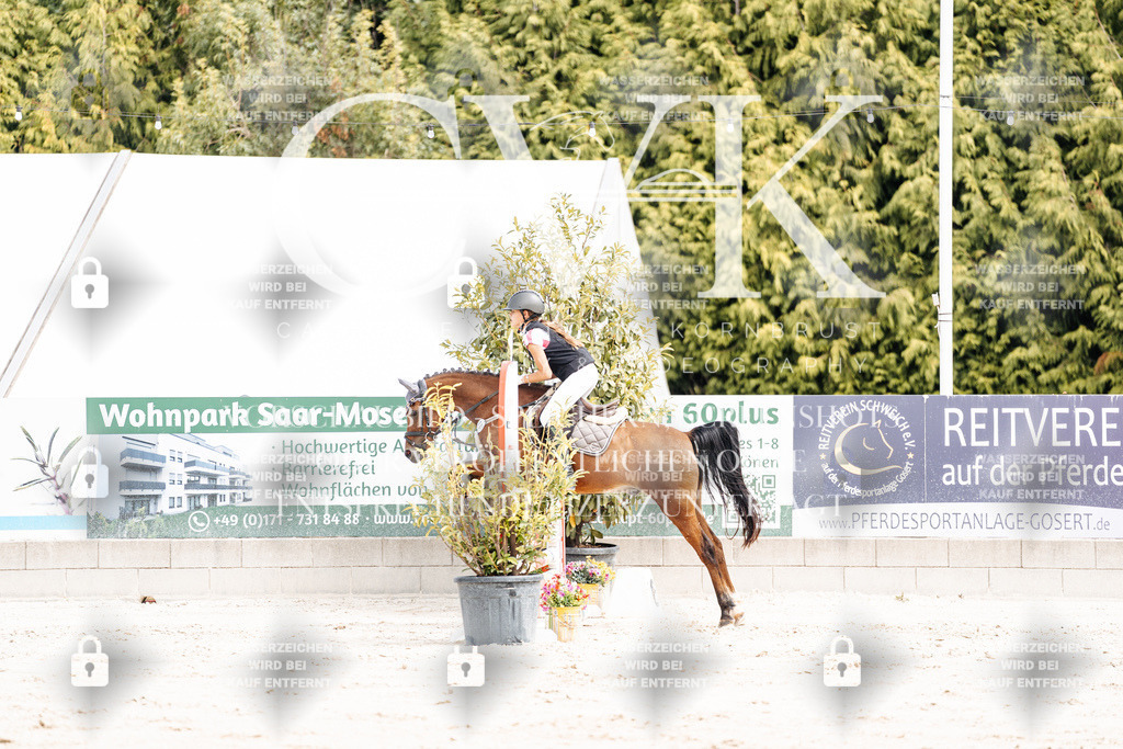 CK906420 | Turnierfotografie Pferdefotografie Trier Rheinland-Pfalz Pferdesport Reitsport Tierfotografie Sportfotografie Pferdevideo Pferdevideografie Equestrianvideography equestrianphotography  - Realisiert mit Pictrs.com