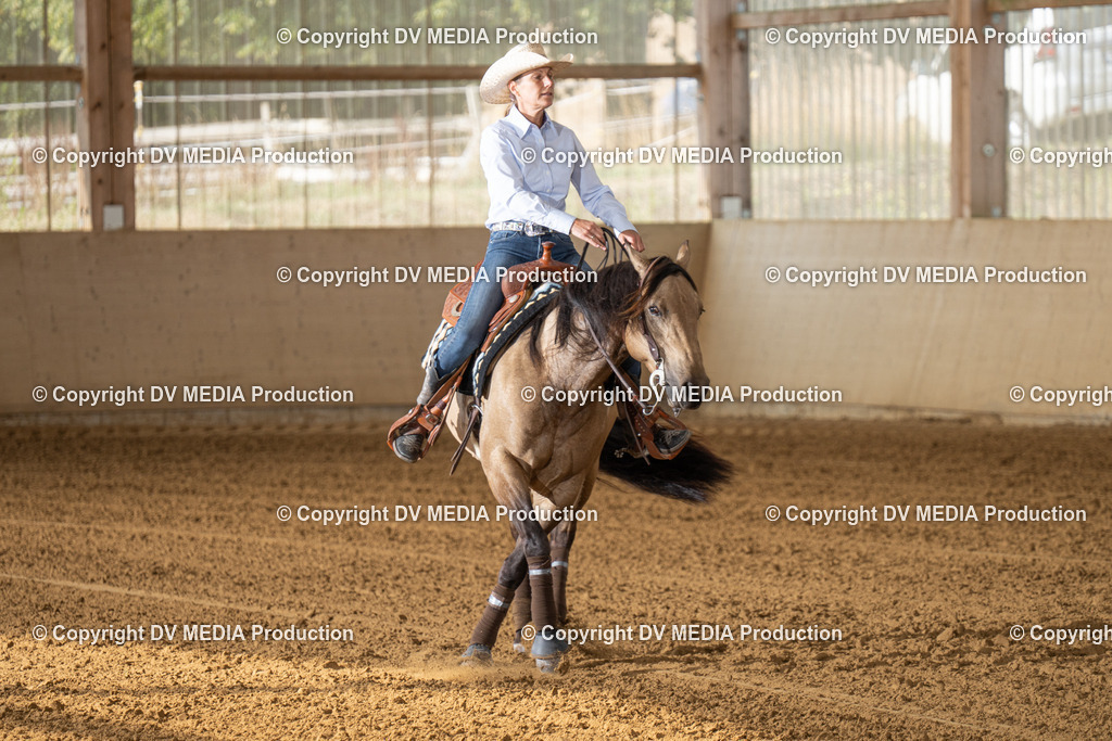 LAU01472 | dv-media-shop - Realisiert mit Pictrs.com