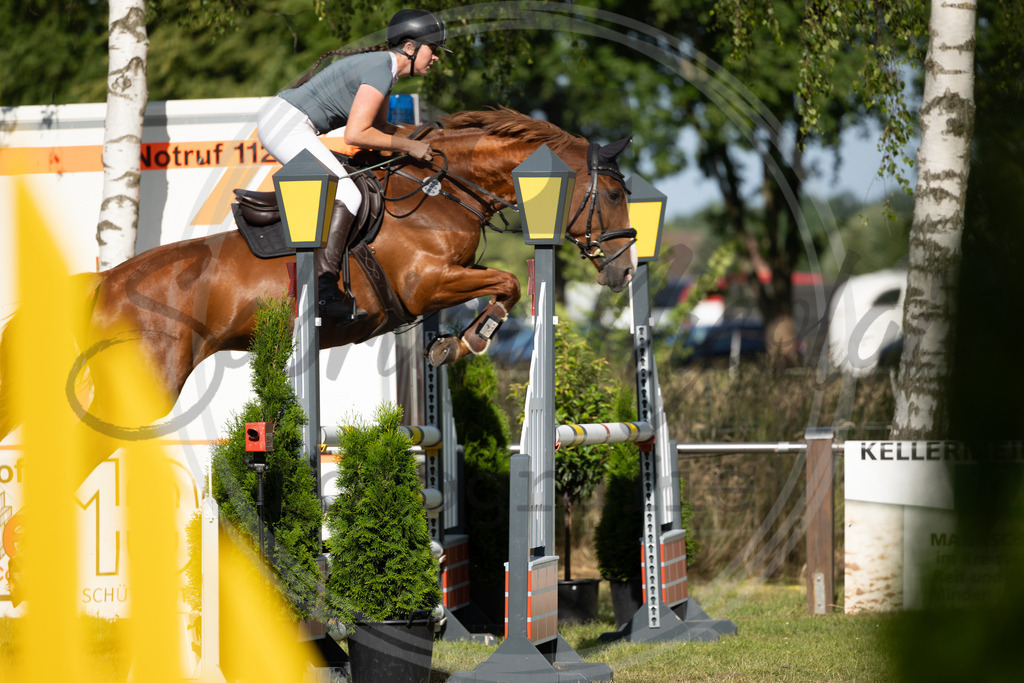 994A4112 | sabrinanicolaifotografie - Realisiert mit Pictrs.com