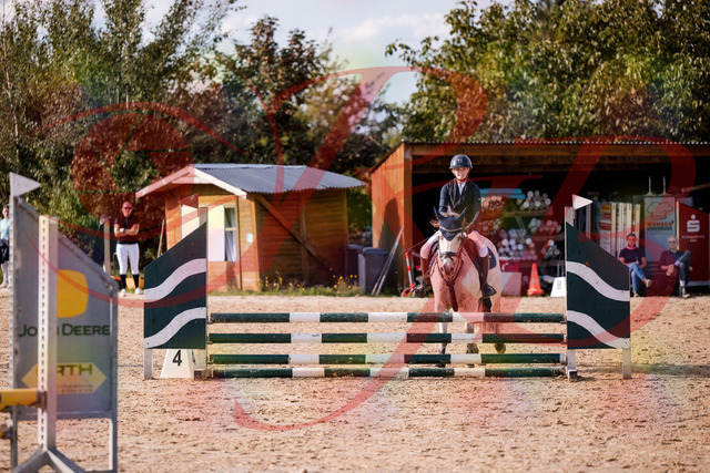 2026_10_03_Siefer-Hof_154519_Z81_63580424 | Professionelle Reitsport-, Turnier- und Eventfotografie von Robert Broda. Galerien mit ausgewählten und bearbeiteten Bildern direkt online ansehen und bestellen.