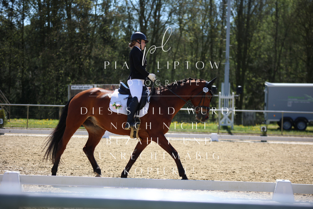 IMGT0911 | pl-fotografie