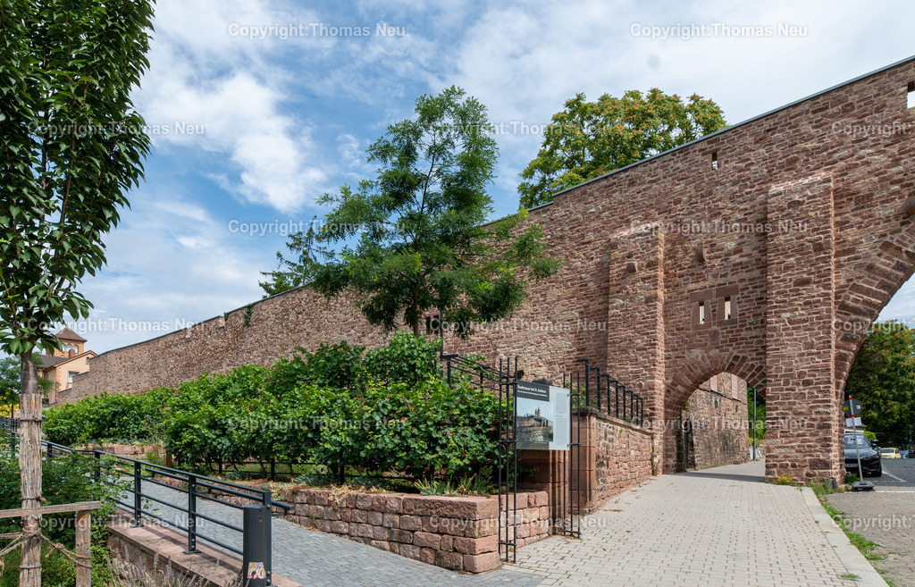 Worms-2025DSC_8680 | Die Stadtmauer bei St. Andreas in Worms gehört zu den ältesten mittelalterlichen Stadtbefestigungen Deutschlands. Gut erhaltene Sandsteinmauern und ein markantes Tor prägen dieses historische Wahrzeichen in der Wormser Altstadt.
